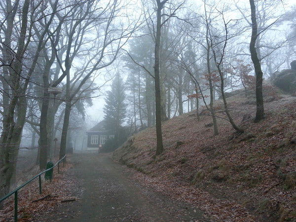 Лариса Теплых