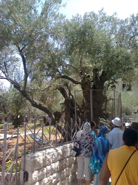 Наталья Ягодкина