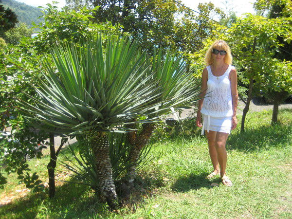 Ирина Никитина