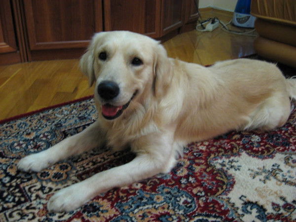 Геннадий Дерендяев