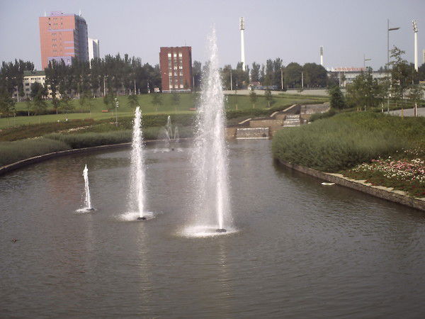 Светлана Масленникова