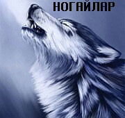 Аралбек Сугуров