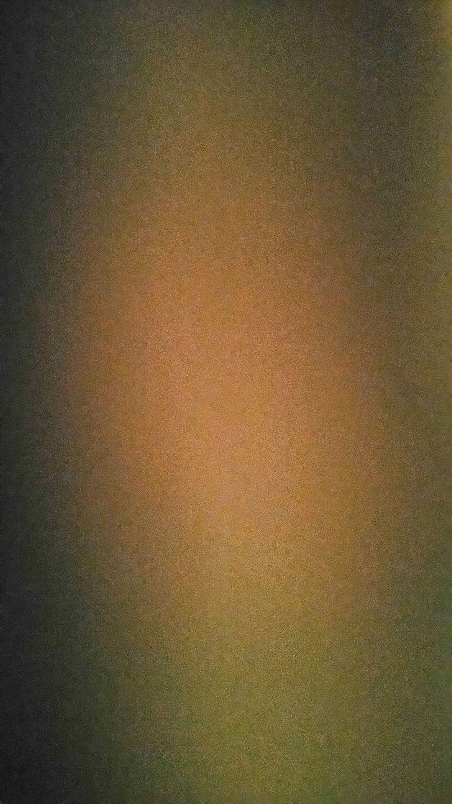 Анна Мулярчик