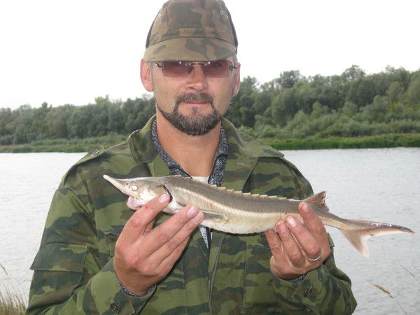 Владислав Запорожский