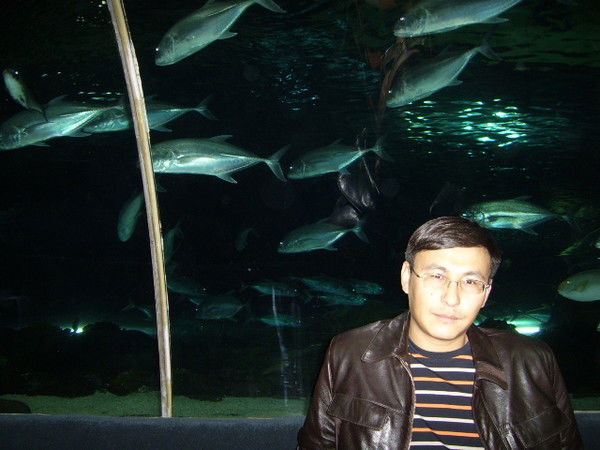 Алишер Зиябеков