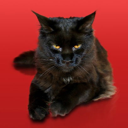 Наталья Чиркина