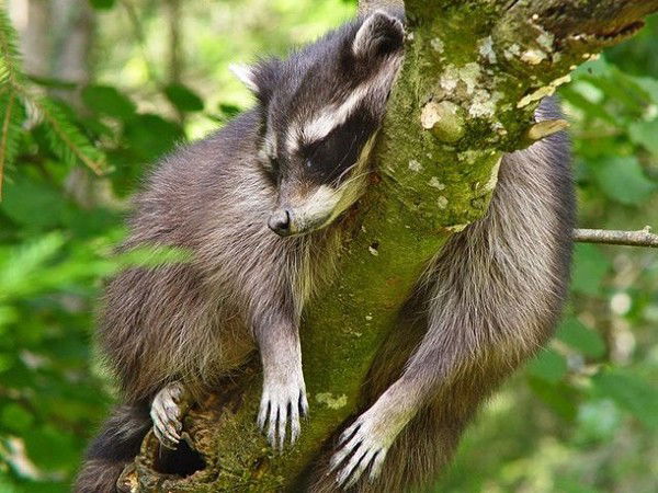 Надюшечка Скрыпник