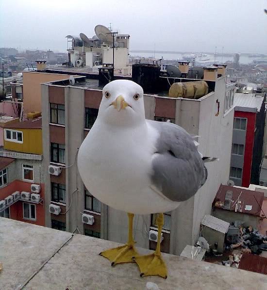 Татьяна Храмцова