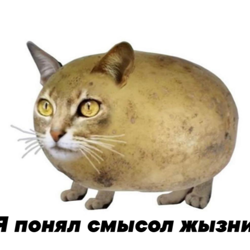 Бог Кортофельных Котов