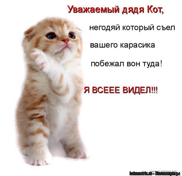 Кирилл Кузенков