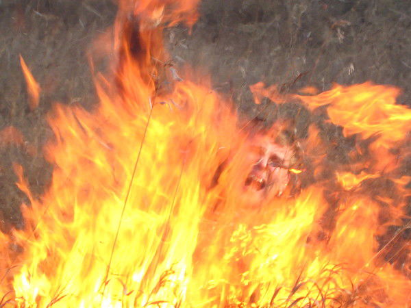 Тимур Борисов