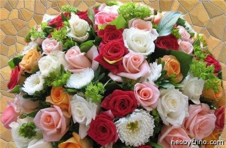 Мадина Тусупова