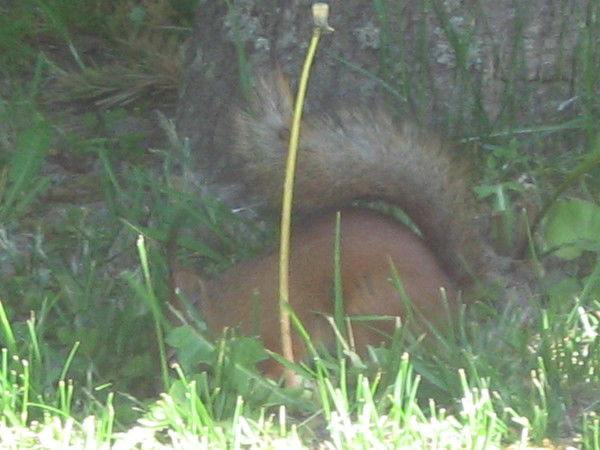 Александра Москвитина