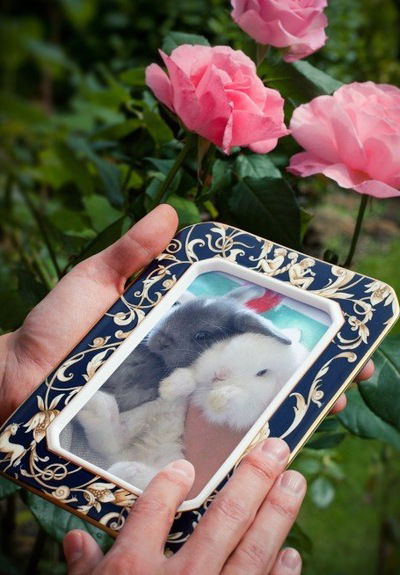 Снежана Логвин