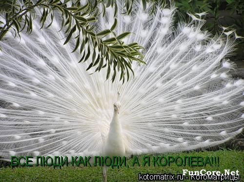 Снежана Тискова