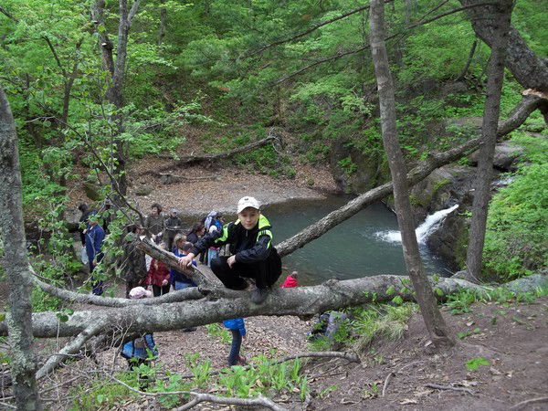 Денис Нестеров