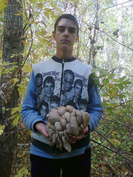 Николай Литвинов