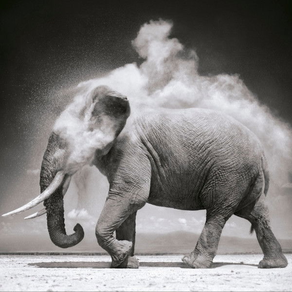 Ольга Шерстюк