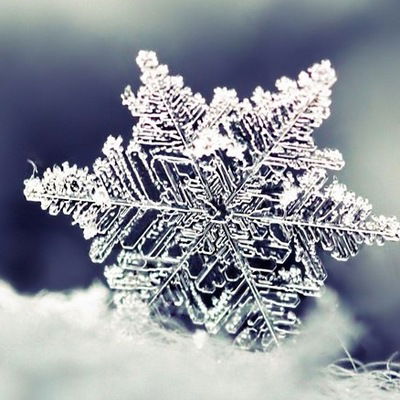 Виктория Дятлова