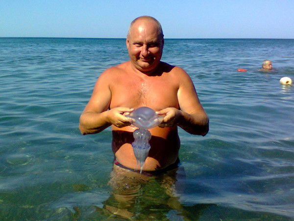 Владимир Бойченко