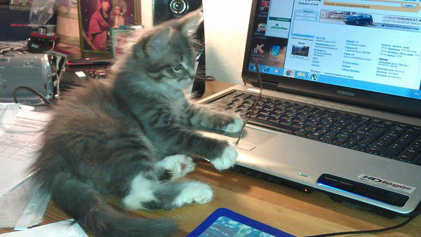 Ольга Барабанова