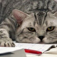 Наташа Распопина