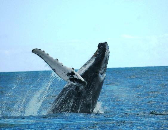 Туристическое Агентство Юнис-Тур