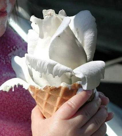 Елена Еленкина