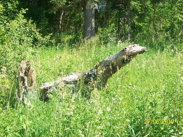 Павел Кострыкин