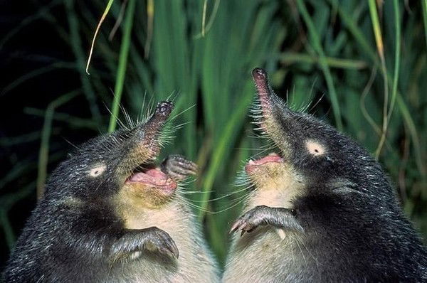 Александр Баландин