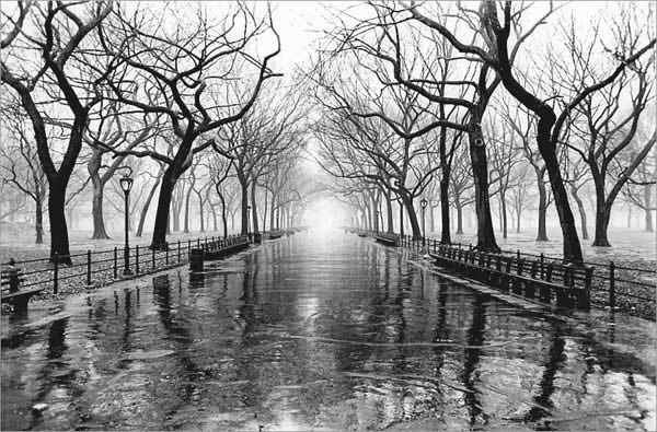 Василий Кириякиди