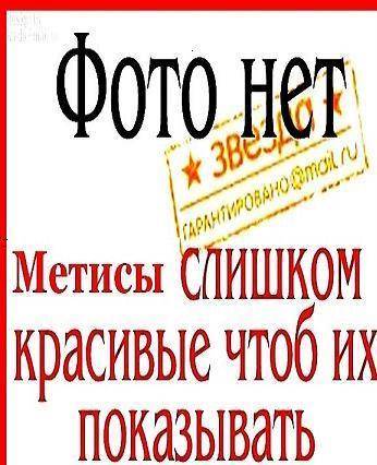 Алиса Батурина