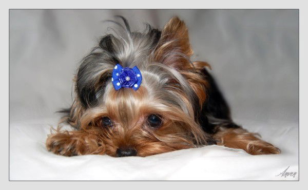 Гюзелия Шайхутдинова