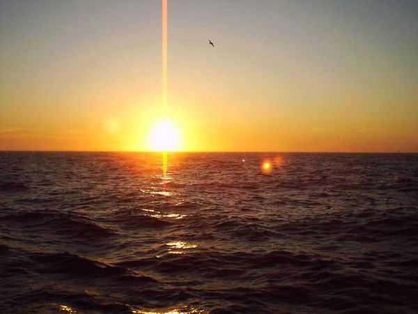 Гульнара Калинина