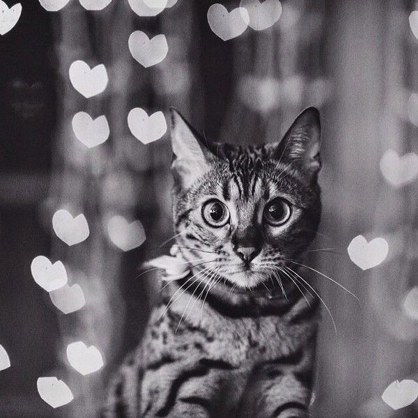 Юлия Данилова