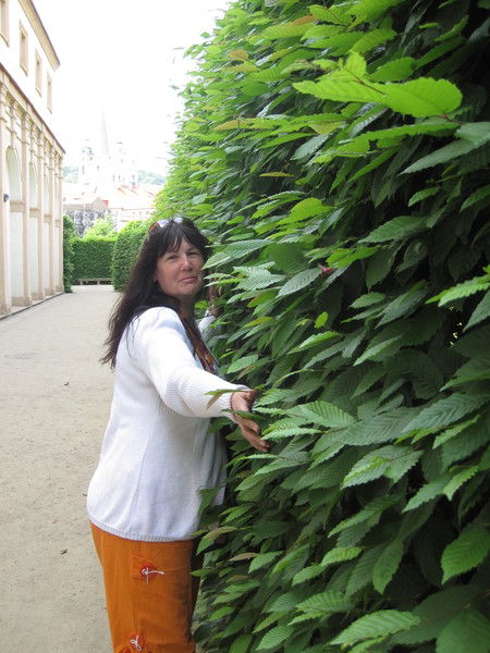 Галина Трофимец