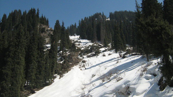 Дмитрий Тарабукин