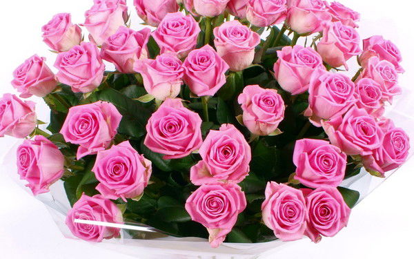 Эльвира Абилькаирова