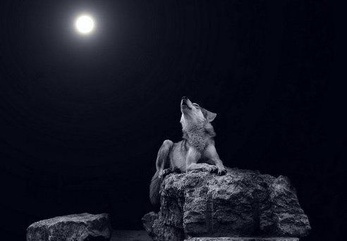 Даулет Айгазиев