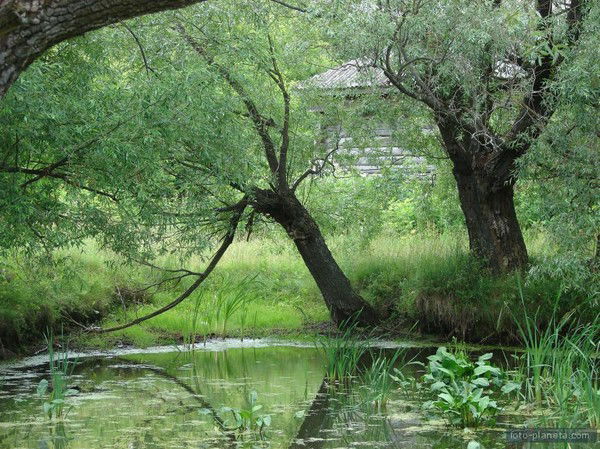 Роман Дарковский