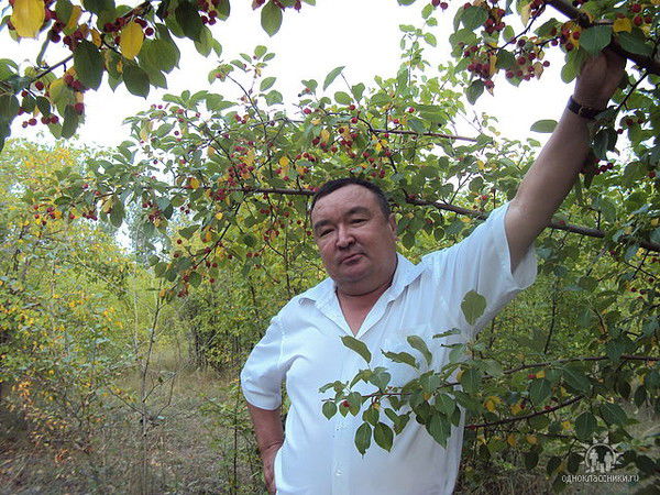 Багдат Оразбеков