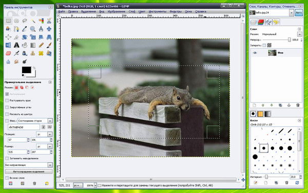 Елена Жилина