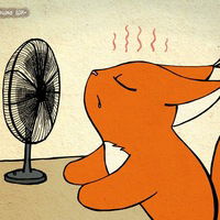 Роза Назипова