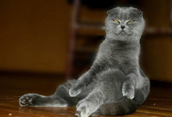 Максим Романов