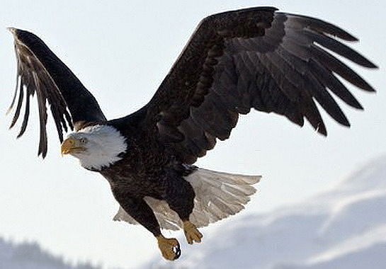 Маисат Агамова