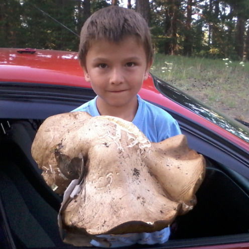 Ольга Косачева