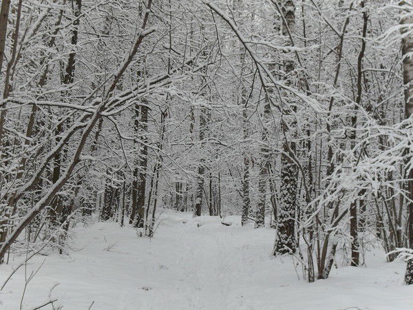 Андрей Алещев