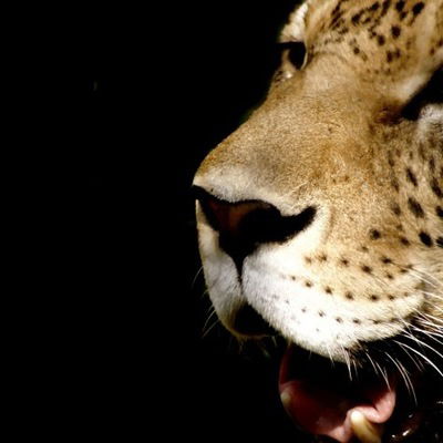 Маргарита Петроченко