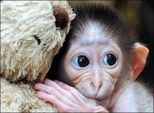 Алексей Костин