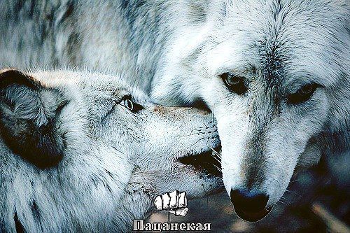 Татьяна Лукина